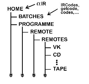 My Directory Structure