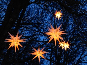 Stars in a Tree