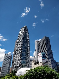 alternative-text for the image